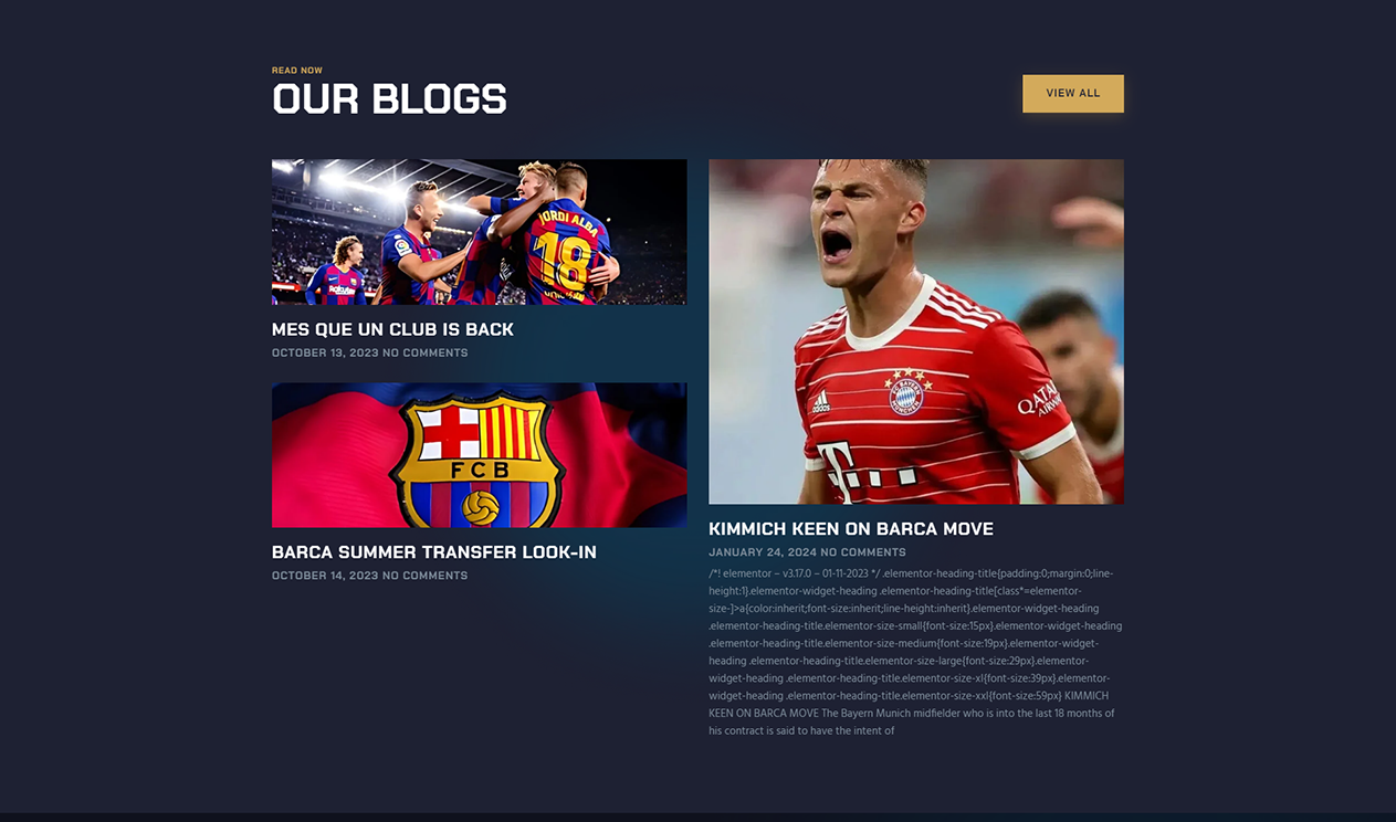 Managing Barca Website Screenshot