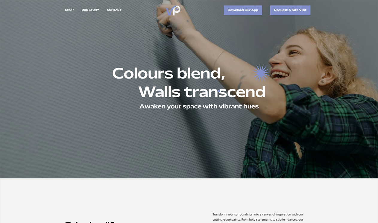 Vikas Paints Website Screenshot